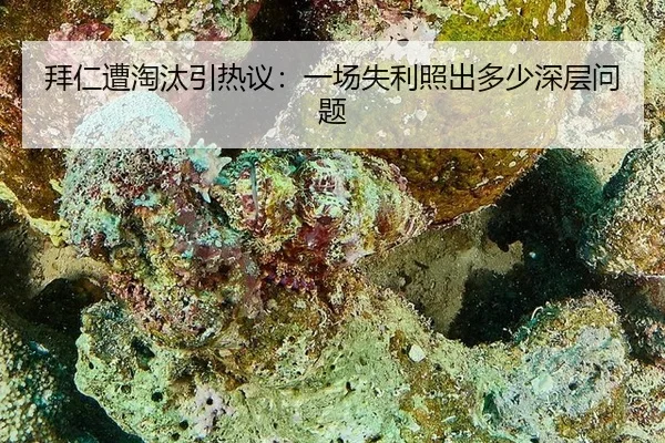 拜仁遭淘汰引热议：一场失利照出多少深层问题